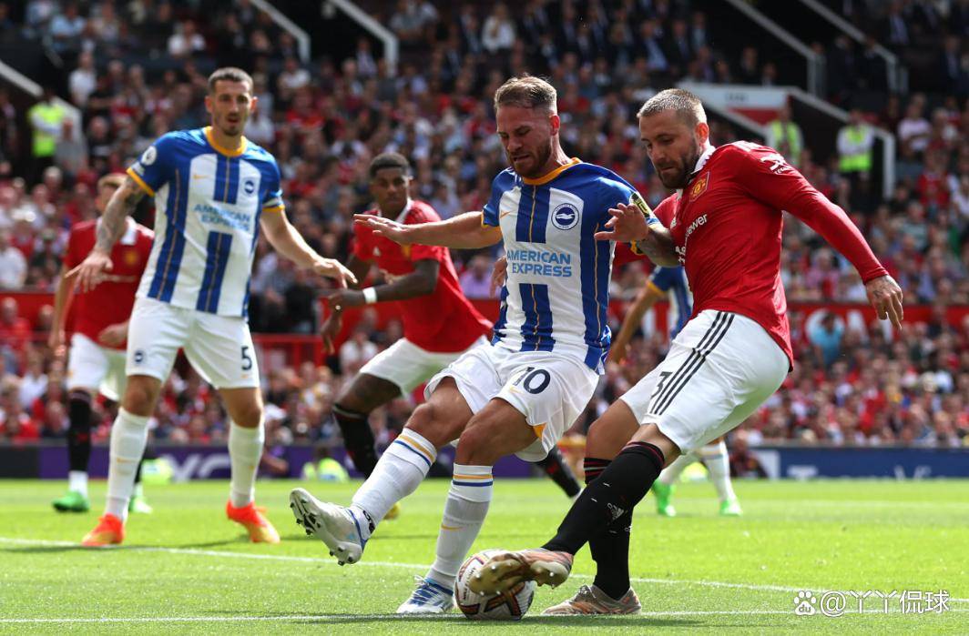 布莱顿引援 布莱顿引援